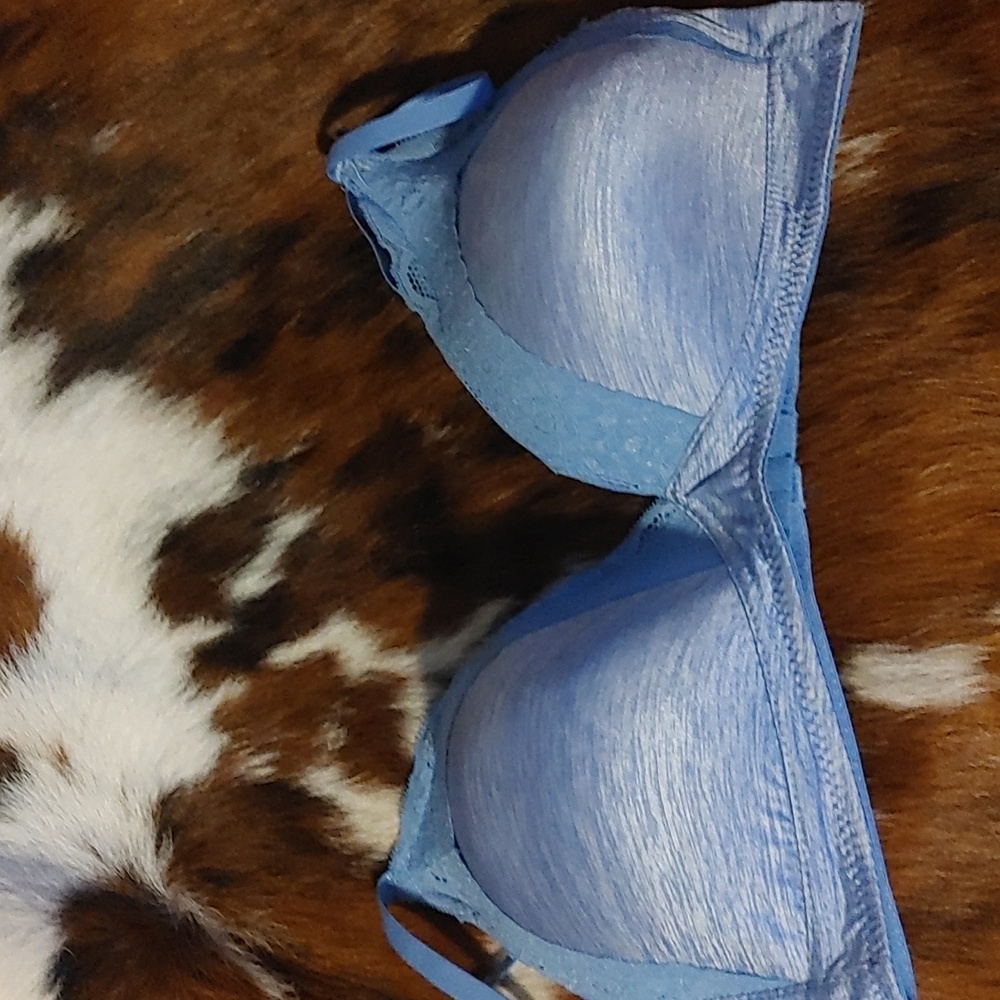 Carisma Bra 38C